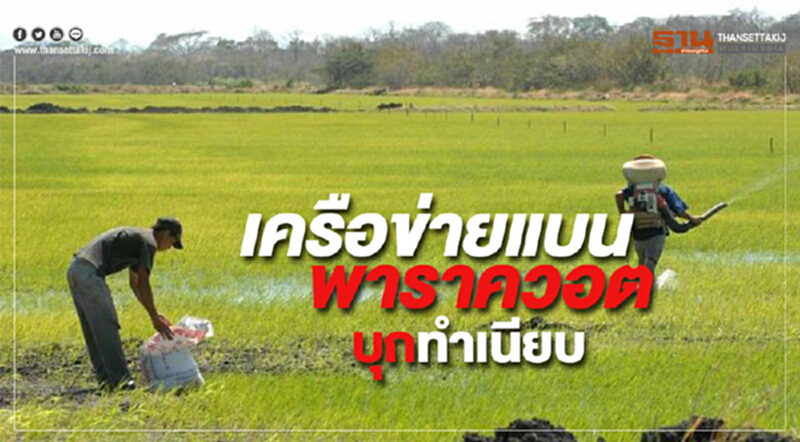 สภาธุรกิจสหรัฐฯ–อาเซียน หนุนไทยใช้ “พาราควอต” จับตา “เครือข่ายแบน” บุกทำเนียบ สภาธุรกิจสหรัฐฯ–อาเซียน หนุนไทยใช้ “พาราควอต” จับตา “เครือข่ายแบน” บุกทำเนียบ