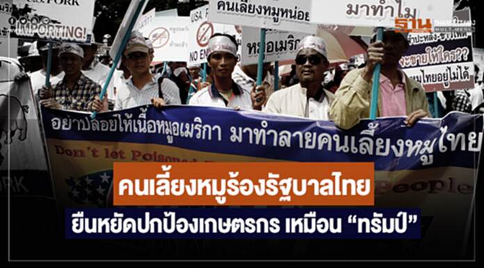 คนเลี้ยงหมูร้องรัฐบาลไทย ยืนหยัดปกป้องเกษตรกร ให้เหมือน "โดนัลด์ ทรัมป์" คนเลี้ยงหมูร้องรัฐบาลไทย ยืนหยัดปกป้องเกษตรกร ให้เหมือน "โดนัลด์ ทรัมป์"