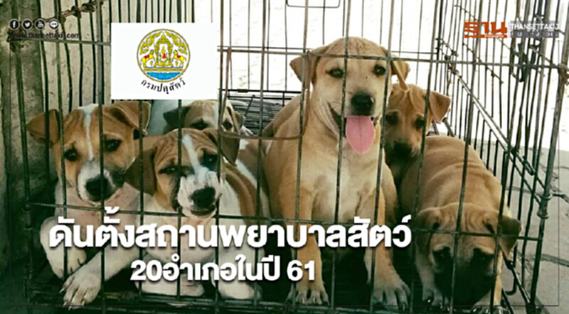 ปศุสัตว์ดันตั้งสถานพยาบาลสัตว์ 20อำเภอในปี 61 ปศุสัตว์ดันตั้งสถานพยาบาลสัตว์ 20อำเภอในปี 61