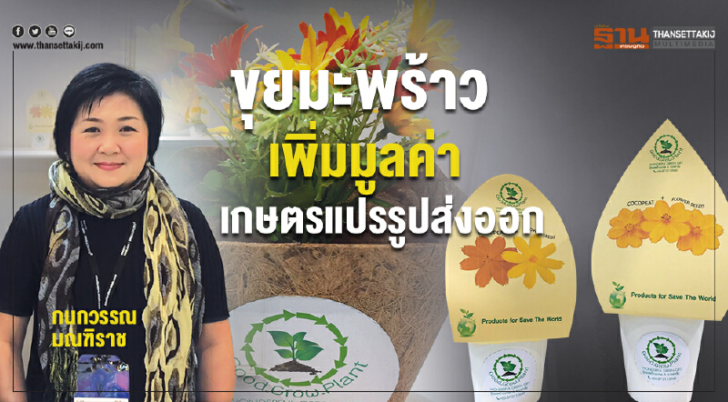 ขุยมะพร้าวเพิ่มมูลค่าเกษตรแปรรูปส่งออก