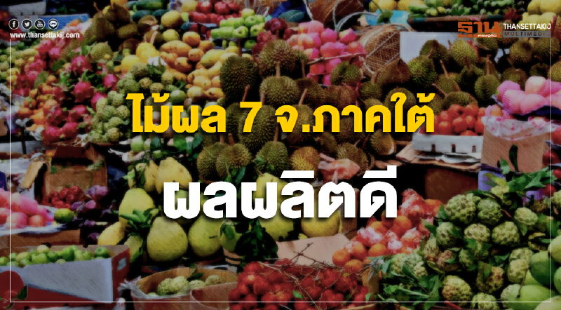 เคาะไม้ผล 7 จ.ภาคใต้ ปีนี้ผลผลิตดี เสี่ยงอากาศแปรปรวน เคาะไม้ผล 7 จ.ภาคใต้ ปีนี้ผลผลิตดี เสี่ยงอากาศแปรปรวน