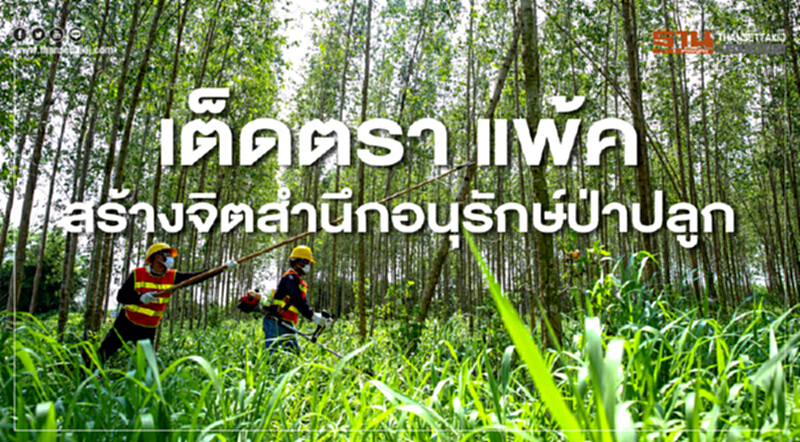 เต็ดตรา แพ้ค สร้างจิตสำนึกอนุรักษ์ป่าปลูก เต็ดตรา แพ้ค สร้างจิตสำนึกอนุรักษ์ป่าปลูก