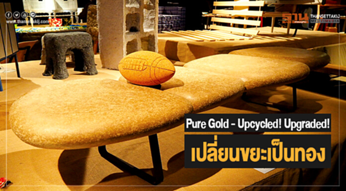 Pure Gold - Upcycled! Upgraded! เปลี่ยนขยะเป็นทอง Pure Gold - Upcycled! Upgraded! เปลี่ยนขยะเป็นทอง