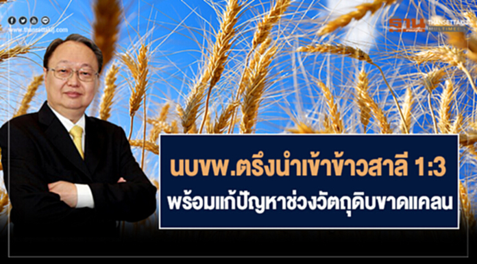 นบขพ.ตรึงนำเข้าข้าวสาลี1:3พร้อมแก้ปัญหาช่วงวัตถุดิบขาดแคลน นบขพ.ตรึงนำเข้าข้าวสาลี1:3พร้อมแก้ปัญหาช่วงวัตถุดิบขาดแคลน