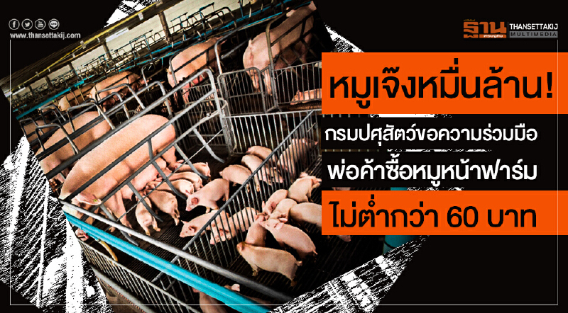 หมูเจ๊งหมื่นล้าน! กรมปศุสัตว์ขอความร่วมมือพ่อค้าซื้อหมูหน้าฟาร์ม ไม่ต่ำกว่า 60 บาท หมูเจ๊งหมื่นล้าน! กรมปศุสัตว์ขอความร่วมมือพ่อค้าซื้อหมูหน้าฟาร์ม ไม่ต่ำกว่า 60 บาท