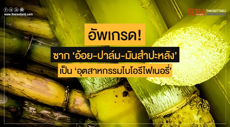 อัพเกรด! ซาก 'อ้อย-ปาล์ม-มันสำปะหลัง' เป็น 'อุตสาหกรรมไบโอรีไฟเนอรี่' ตั้งเป้าพลิกโฉมเกษตร 5 ด้าน อัพเกรด! ซาก 'อ้อย-ปาล์ม-มันสำปะหลัง' เป็น 'อุตสาหกรรมไบโอรีไฟเนอรี่' ตั้งเป้าพลิกโฉมเกษตร 5 ด้าน