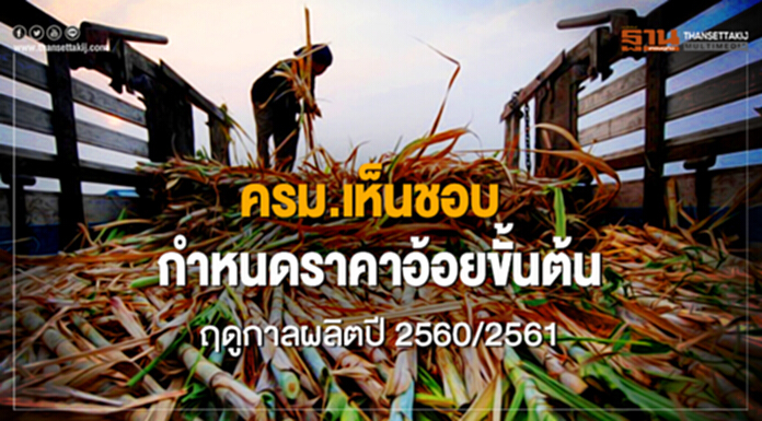 ครม.เห็นชอบกำหนดราคาอ้อยขั้นต้นฤดูกาลผลิตปี 2560/2561 ครม.เห็นชอบกำหนดราคาอ้อยขั้นต้นฤดูกาลผลิตปี 2560/2561
