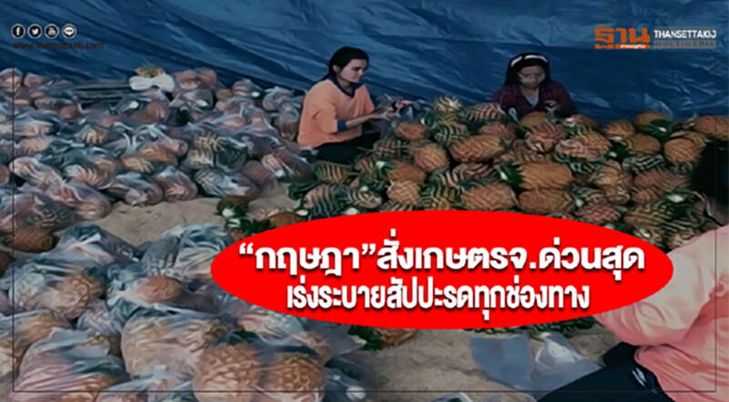 “กฤษฎา”สั่งเกษตรจ.ด่วนสุดเร่งระบายสัปปะรดทุกช่องทาง “กฤษฎา”สั่งเกษตรจ.ด่วนสุดเร่งระบายสัปปะรดทุกช่องทาง