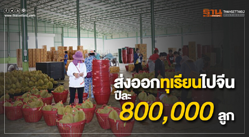 กรมส่งเสริมสหกรณ์นำทีมจัดซื้ออาลีบาบาลุยสวนทุเรียนส่งออกจีนปีละ 8 แสนลูก กรมส่งเสริมสหกรณ์นำทีมจัดซื้ออาลีบาบาลุยสวนทุเรียนส่งออกจีนปีละ 8 แสนลูก