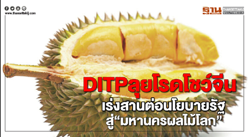 DITPลุยโรดโชว์จีนเร่งสานต่อนโยบายรัฐสู่“มหานครผลไม้โลก” DITPลุยโรดโชว์จีนเร่งสานต่อนโยบายรัฐสู่“มหานครผลไม้โลก”