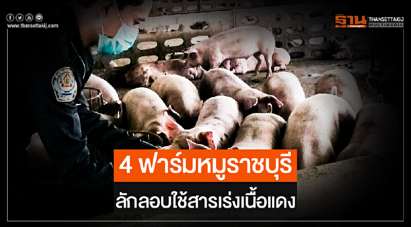 กรมปศุสัตว์เตรียมดำเนินคดีอย่างถึงที่สุด! '4 ฟาร์มหมูราชบุรี' ลักลอบใช้สารเร่งเนื้อแดง กรมปศุสัตว์เตรียมดำเนินคดีอย่างถึงที่สุด! '4 ฟาร์มหมูราชบุรี' ลักลอบใช้สารเร่งเนื้อแดง