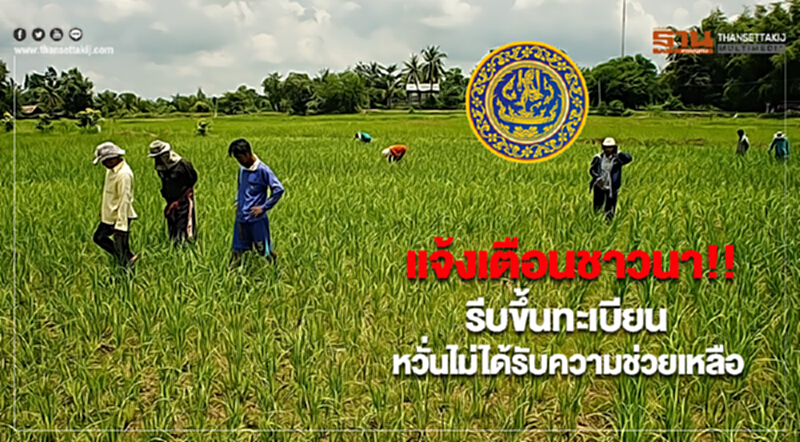 พาณิชย์แจ้งเตือนชาวนารีบขึ้นทะเบียนหวั่นไม่ได้รับความช่วยเหลือจากภาครัฐ พาณิชย์แจ้งเตือนชาวนารีบขึ้นทะเบียนหวั่นไม่ได้รับความช่วยเหลือจากภาครัฐ