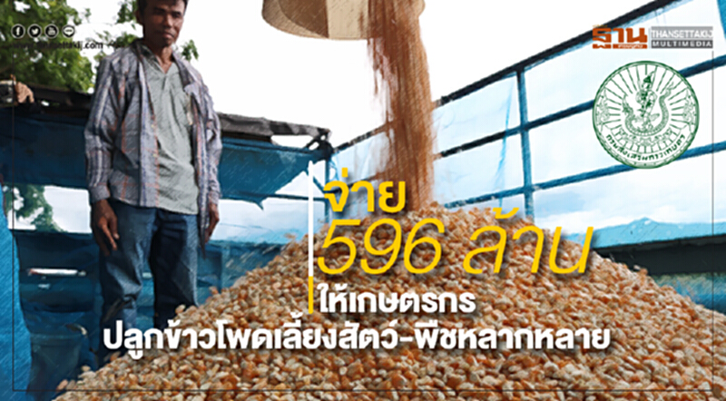 'กรมส่งเสริมการเกษตร' เริ่มจ่ายเงินรอบแรก 596 ล้าน ให้เกษตรกรผู้ปลูกข้าวโพดเลี้ยงสัตว์-พืชหลากหลาย 'กรมส่งเสริมการเกษตร' เริ่มจ่ายเงินรอบแรก 596 ล้าน ให้เกษตรกรผู้ปลูกข้าวโพดเลี้ยงสัตว์-พืชหลากหลาย