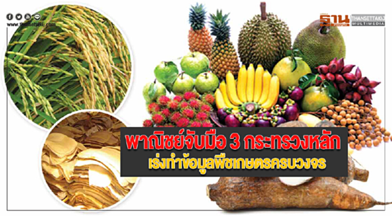 พาณิชย์จับมือ 3 กระทรวงหลัก เร่งทำข้อมูลพืชเกษตรครบวงจร พาณิชย์จับมือ 3 กระทรวงหลัก เร่งทำข้อมูลพืชเกษตรครบวงจร