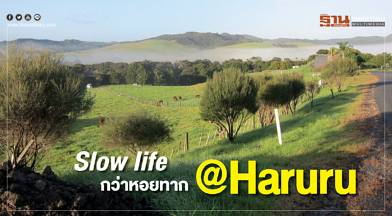 Slow Life กว่าหอยทาก @Haruru Slow Life กว่าหอยทาก @Haruru