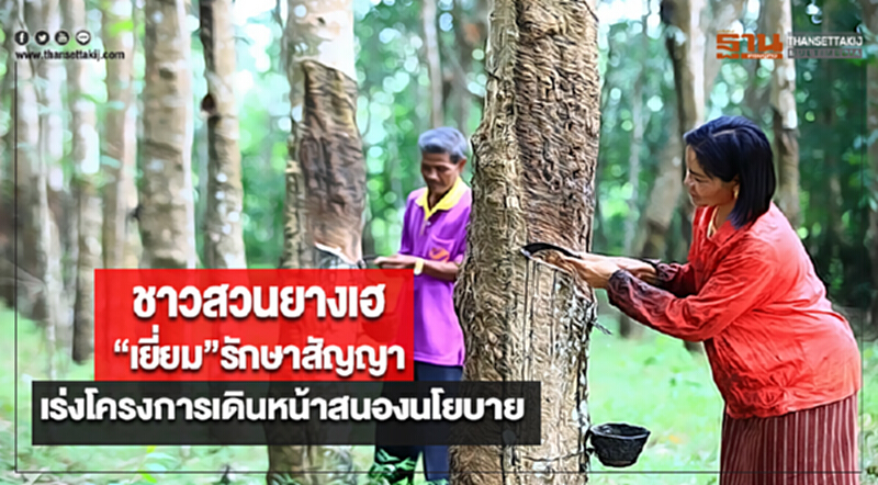 ชาวสวนยางเฮ“เยี่ยม”รักษาสัญญาเร่งโครงการเดินหน้าสนองนโยบาย ชาวสวนยางเฮ“เยี่ยม”รักษาสัญญาเร่งโครงการเดินหน้าสนองนโยบาย