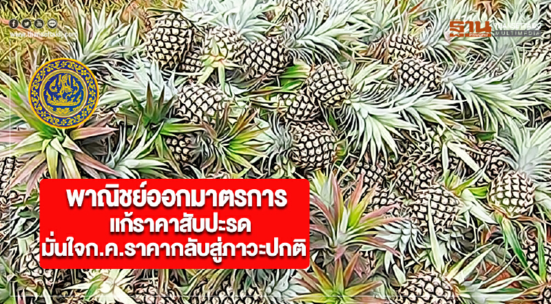 พาณิชย์ออกมาตรการแก้ราคาสับปะรดมั่นใจก.ค.ราคากลับสู่ภาวะปกติ