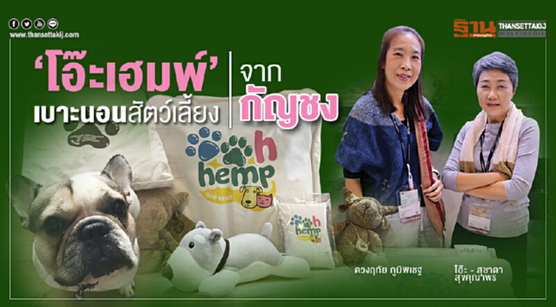 ‘โอ๊ะเฮมพ์’ เบาะนอนสัตว์เลี้ยง จากกัญชง ‘โอ๊ะเฮมพ์’ เบาะนอนสัตว์เลี้ยง จากกัญชง