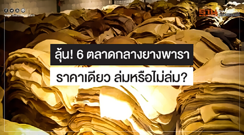 ลุ้น! 6 ตลาดกลางยางพารา ราคาเดียว ล่มหรือไม่ล่ม? ลุ้น! 6 ตลาดกลางยางพารา ราคาเดียว ล่มหรือไม่ล่ม?