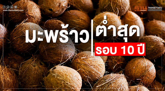 มะพร้าวตํ่าสุดรอบ 10 ปี ชาวสวนจี้รัฐประกันราคา-ยกเลิกนำเข้า