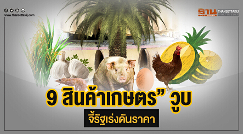 "9 สินค้าเกษตร" วูบ! จี้รัฐเร่งดันราคา "9 สินค้าเกษตร" วูบ! จี้รัฐเร่งดันราคา
