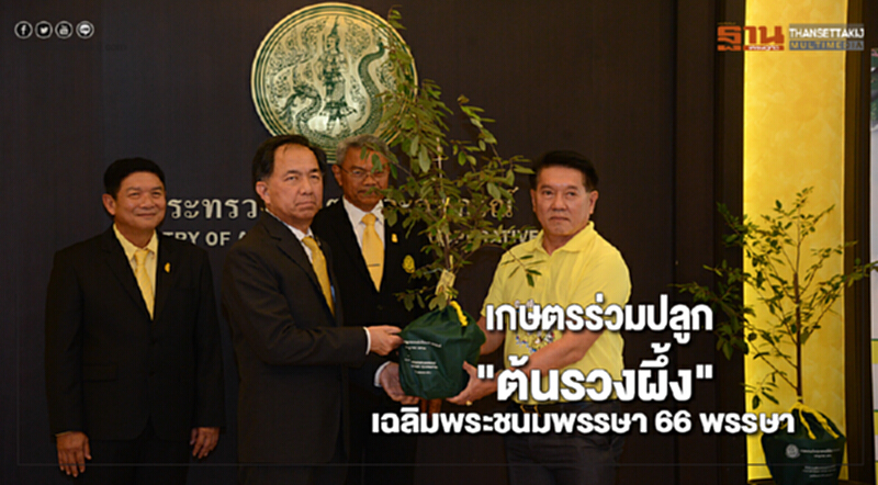 เกษตร ร่วมปลูก "ต้นรวงผึ้ง" เฉลิมพระชนมพรรษา 66 พรรษา เกษตร ร่วมปลูก "ต้นรวงผึ้ง" เฉลิมพระชนมพรรษา 66 พรรษา