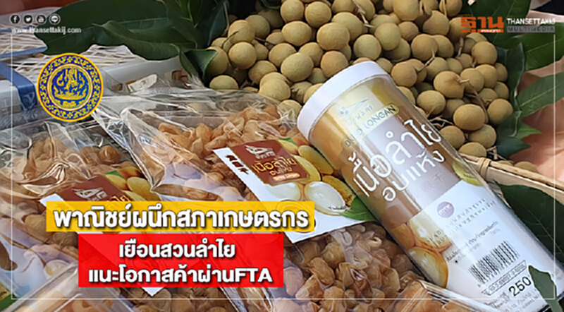 พาณิชย์ผนึกสภาเกษตรกรเยือนสวนลำไยแนะโอกาสค้าผ่านFTA พาณิชย์ผนึกสภาเกษตรกรเยือนสวนลำไยแนะโอกาสค้าผ่านFTA