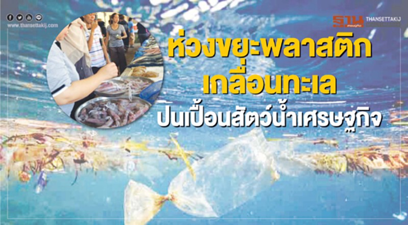 ม.อ.ห่วงขยะพลาสติกเกลื่อนทะเล ปนเปื้อนสัตว์นํ้าเศรษฐกิจที่จับได้ ม.อ.ห่วงขยะพลาสติกเกลื่อนทะเล ปนเปื้อนสัตว์นํ้าเศรษฐกิจที่จับได้