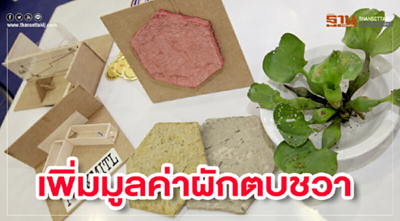 เพิ่มมูลค่าผักตบชวา สู่แผ่นอะคูสติกดูดซับเสียง เพิ่มมูลค่าผักตบชวา สู่แผ่นอะคูสติกดูดซับเสียง