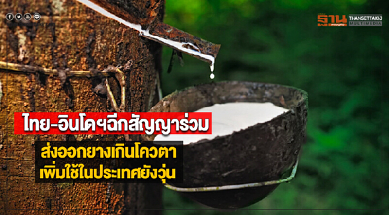 ไทย-อินโดฯฉีกสัญญาร่วมส่งออกยางเกินโควตา-เพิ่มใช้ในประเทศยังวุ่น ไทย-อินโดฯฉีกสัญญาร่วมส่งออกยางเกินโควตา-เพิ่มใช้ในประเทศยังวุ่น