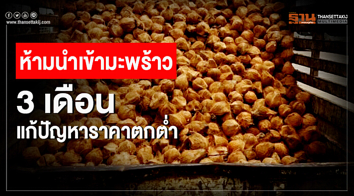 ห้ามนำเข้ามะพร้าว 3 เดือน แก้ปัญหาราคาตกต่ำ ห้ามนำเข้ามะพร้าว 3 เดือน แก้ปัญหาราคาตกต่ำ