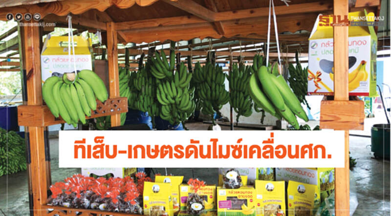 ทีเส็บ-เกษตรดันไมซ์เคลื่อนศก. ทีเส็บ-เกษตรดันไมซ์เคลื่อนศก.