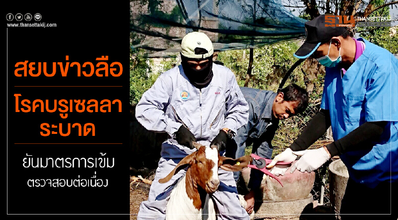 สยบข่าวลือ 'โรคบรูเซลลา' ระบาด! ยันมาตรการเข้ม ตรวจสอบต่อเนื่อง สยบข่าวลือ 'โรคบรูเซลลา' ระบาด! ยันมาตรการเข้ม ตรวจสอบต่อเนื่อง