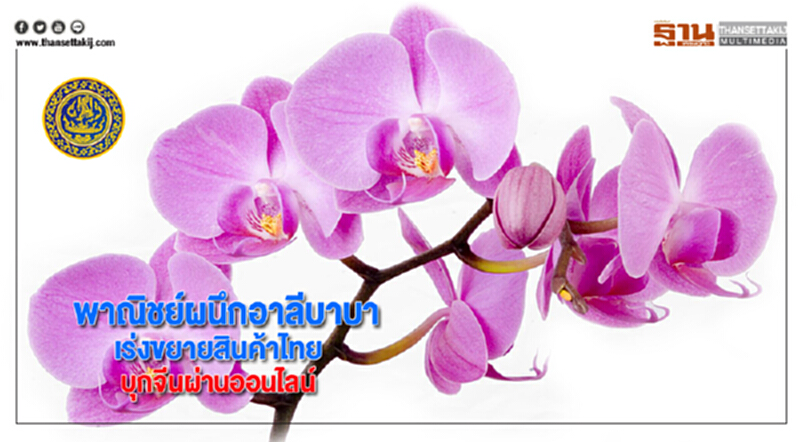 พาณิชย์ผนึกอาลีบาบาเร่งขยายสินค้าไทยบุกจีนผ่านออนไลน์ พาณิชย์ผนึกอาลีบาบาเร่งขยายสินค้าไทยบุกจีนผ่านออนไลน์