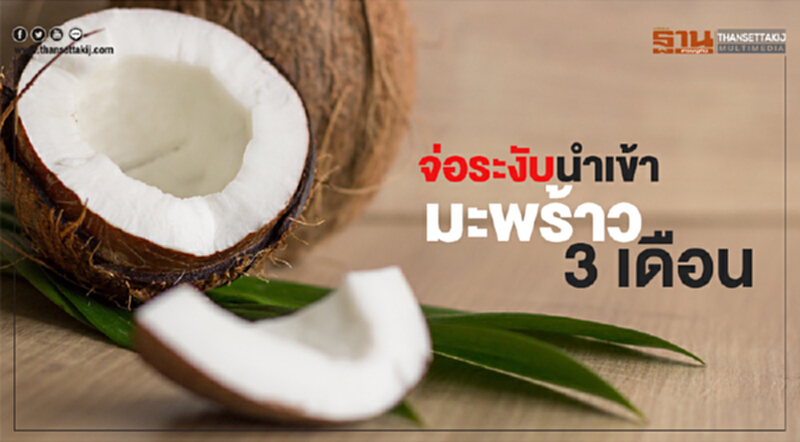 “พาณิชย์” จ่อระงับนำเข้ามะพร้าว 3 เดือน “พาณิชย์” จ่อระงับนำเข้ามะพร้าว 3 เดือน