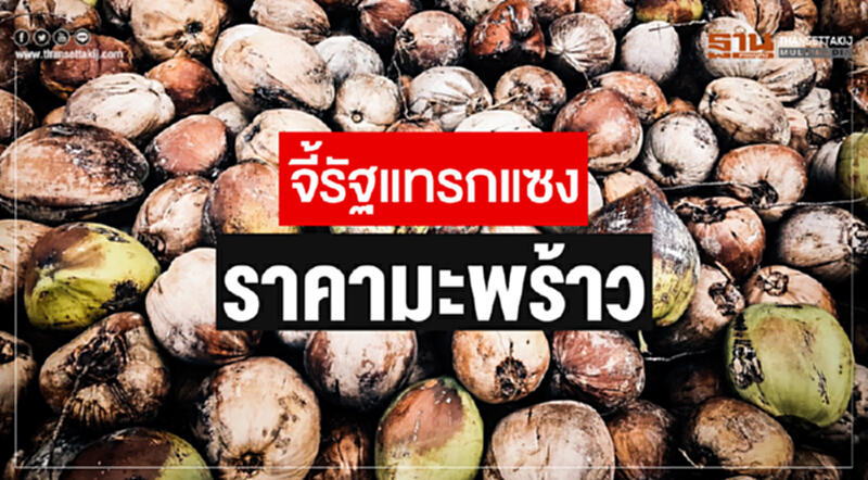 จี้รัฐแทรกแซง "ราคามะพร้าว" !! ห้ามนำเข้า 3 เดือน ไม่ช่วย - นัดรวมพลกดดัน 3 ส.ค. จี้รัฐแทรกแซง "ราคามะพร้าว" !! ห้ามนำเข้า 3 เดือน ไม่ช่วย - นัดรวมพลกดดัน 3 ส.ค.
