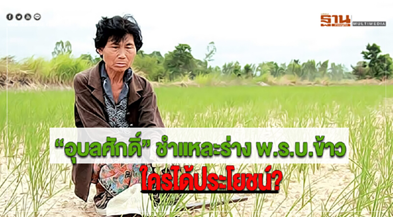 “อุบลศักดิ์” ชำแหละร่าง พ.ร.บ.ข้าว .... ใครได้ประโยชน์? “อุบลศักดิ์” ชำแหละร่าง พ.ร.บ.ข้าว .... ใครได้ประโยชน์?