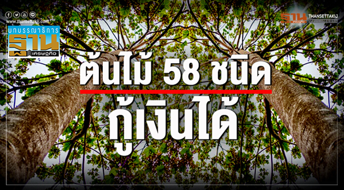 ต้นไม้ 58 ชนิดกู้เงินได้
