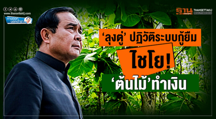 ทางออกนอกตำรา : ‘ลุงตู่’ ปฏิวัติระบบกู้ยืม ไชโย! ‘ต้นไม้’ทำเงิน ทางออกนอกตำรา : ‘ลุงตู่’ ปฏิวัติระบบกู้ยืม ไชโย! ‘ต้นไม้’ทำเงิน