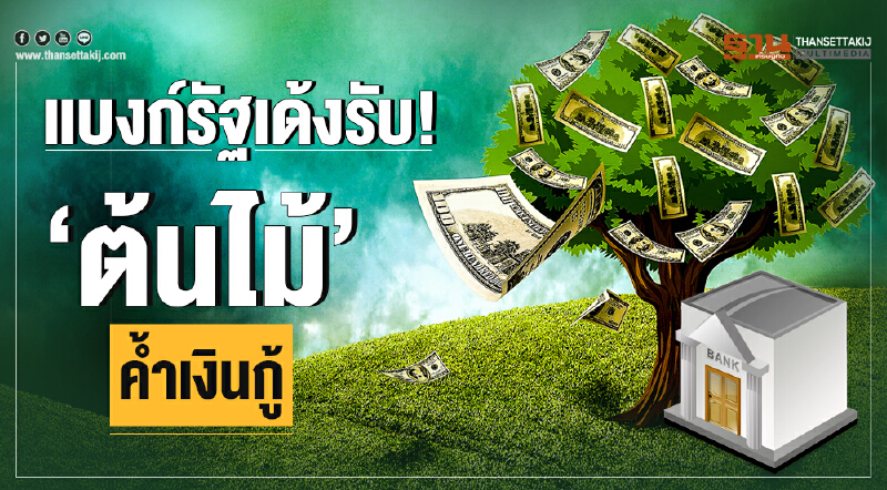 แบงก์รัฐเด้งรับ! 'ต้นไม้' ค้ำเงินกู้