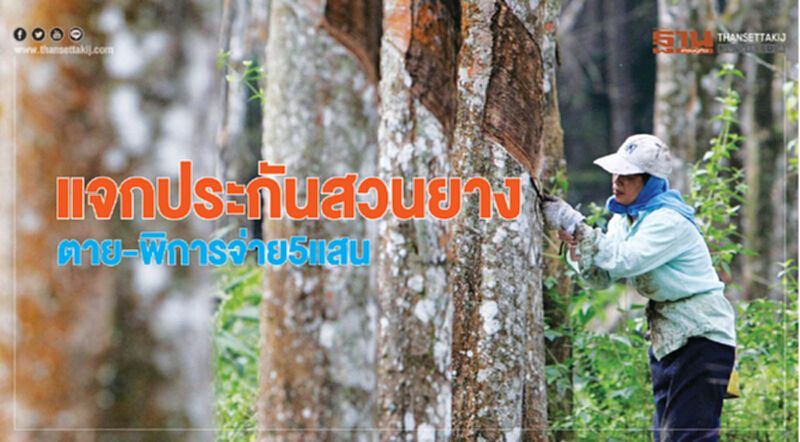 แจกประกันสวนยาง ตาย-พิการจ่าย5แสน แจกประกันสวนยาง ตาย-พิการจ่าย5แสน