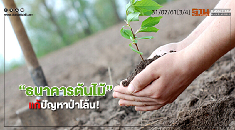 ชั่วโมงฐานเศรษฐกิจ : “ธนาคารต้นไม้” แก้ปัญหาป่าโล้น! ชั่วโมงฐานเศรษฐกิจ : “ธนาคารต้นไม้” แก้ปัญหาป่าโล้น!