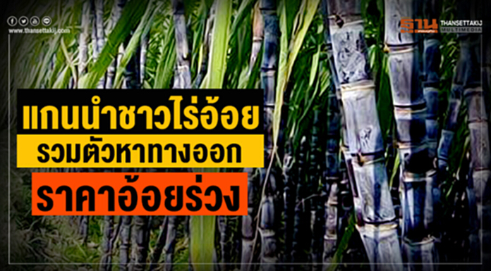 แกนนำชาวไร่อ้อยทั่วประเทศ รวมตัวหาทางออกราคาอ้อยร่วง แกนนำชาวไร่อ้อยทั่วประเทศ รวมตัวหาทางออกราคาอ้อยร่วง