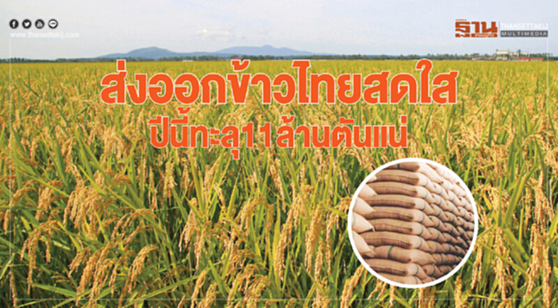 ส่งออกข้าวไทยสดใส ปีนี้ทะลุ11ล้านตันแน่ ส่งออกข้าวไทยสดใส ปีนี้ทะลุ11ล้านตันแน่