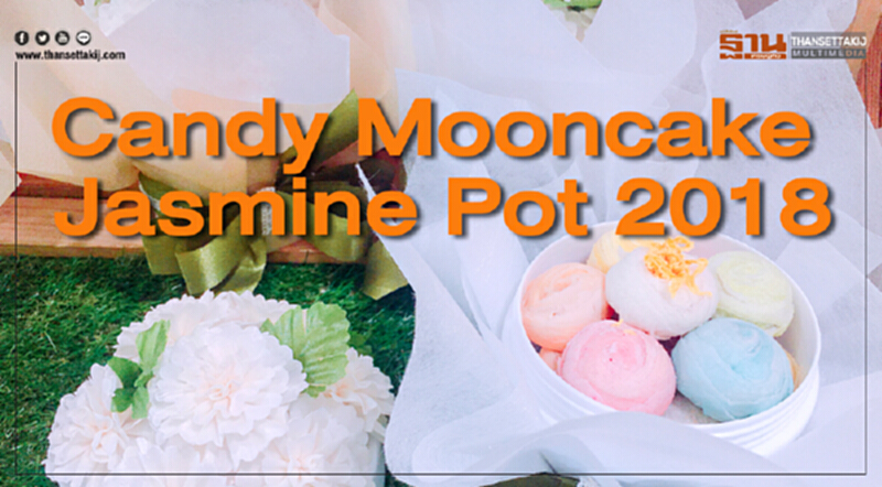 Candy Mooncake Jasmine Pot 2018 Candy Mooncake Jasmine Pot 2018
