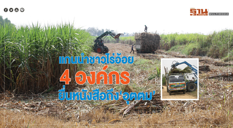 แกนนำชาวไร่อ้อย 4 องค์กร ยื่นหนังสือถึง "อุตตม" รับมือราคาอ้อยร่วง แกนนำชาวไร่อ้อย 4 องค์กร ยื่นหนังสือถึง "อุตตม" รับมือราคาอ้อยร่วง