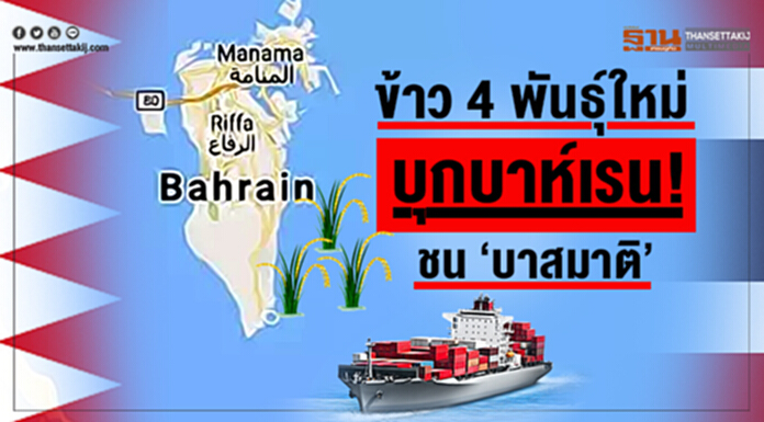ข้าว 4 พันธุ์ใหม่บุกบาห์เรน! ชน ‘บาสมาติ’ อินเดีย-ยกไทยครัวฮาลาลอาหรับ ข้าว 4 พันธุ์ใหม่บุกบาห์เรน! ชน ‘บาสมาติ’ อินเดีย-ยกไทยครัวฮาลาลอาหรับ