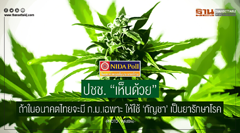 นิด้าโพล เผย ปชช. "เห็นด้วย" ถ้าในอนาคตไทยจะมี ก.ม.เฉพาะ ให้ใช้ 'กัญชา' เป็นยารักษาโรค นิด้าโพล เผย ปชช. "เห็นด้วย" ถ้าในอนาคตไทยจะมี ก.ม.เฉพาะ ให้ใช้ 'กัญชา' เป็นยารักษาโรค