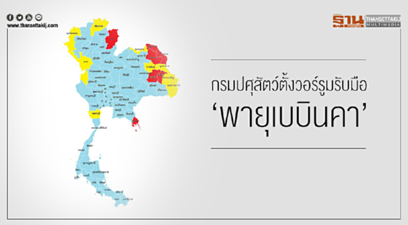 กรมปศุสัตว์ตั้งวอร์รูมรับมือ 'พายุเบบินคา' กรมปศุสัตว์ตั้งวอร์รูมรับมือ 'พายุเบบินคา'