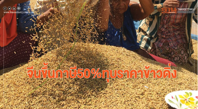 จีนขึ้นภาษี50%ทุบราคาข้าวดิ่ง